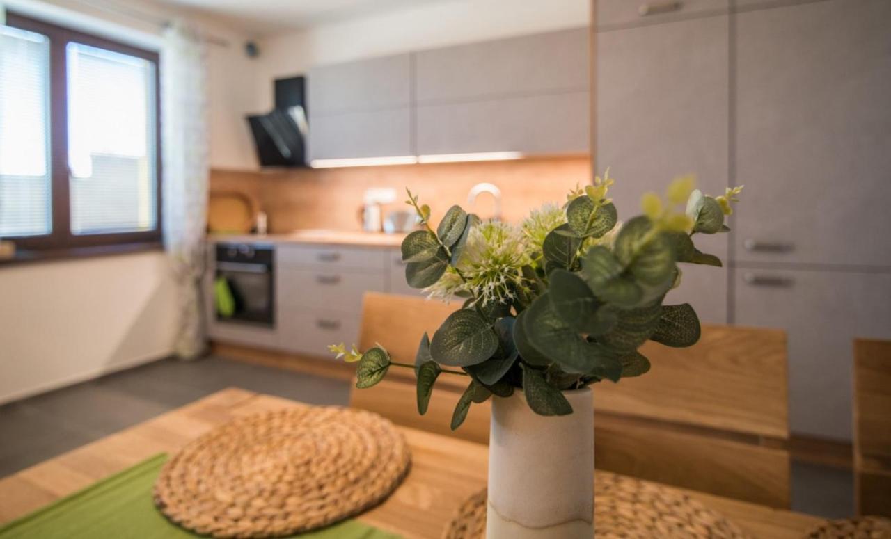 Astra Lipno Apartment Frymburk Luaran gambar
